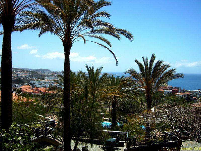 Melia Jardines Del Teide (1).JPG